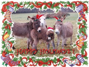happyholidays
